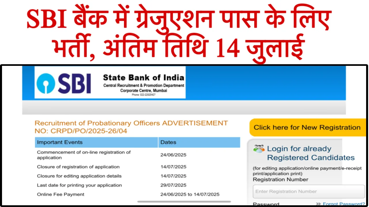 SBI PO Vacancy 202