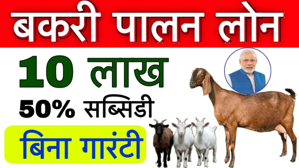 Bakri Palan Loan Kaise Milega