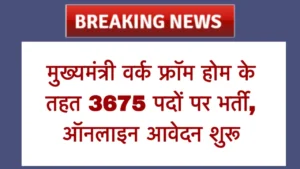 Mukhyamantri Work from Home Job Work